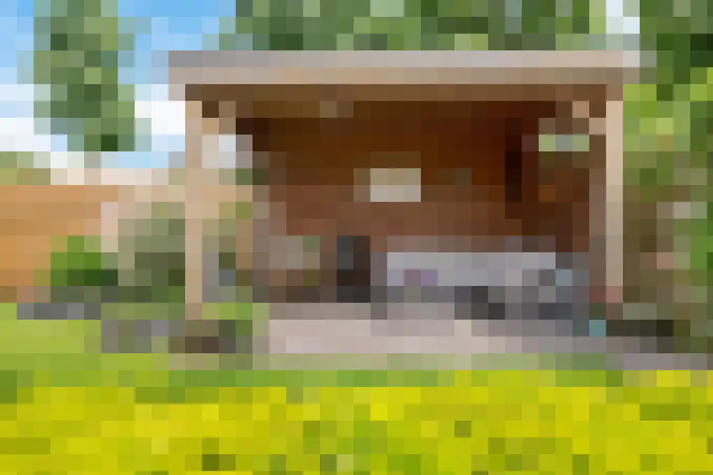 Valkruid 70 Nieuw-Buinen thumbnail 34