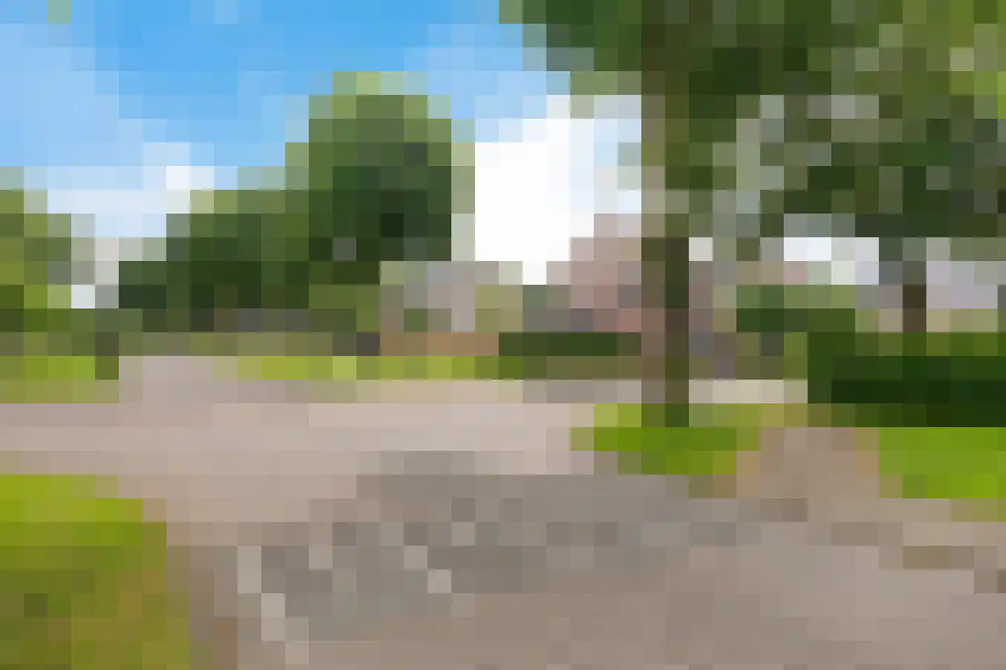 Valkruid 70 Nieuw-Buinen thumbnail 36