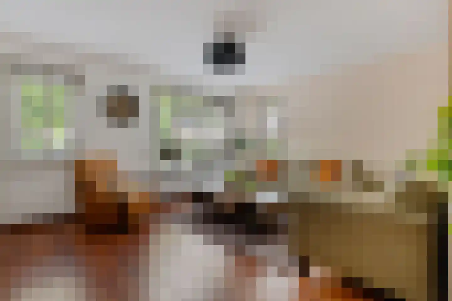 Valkruid 70 Nieuw-Buinen thumbnail 6