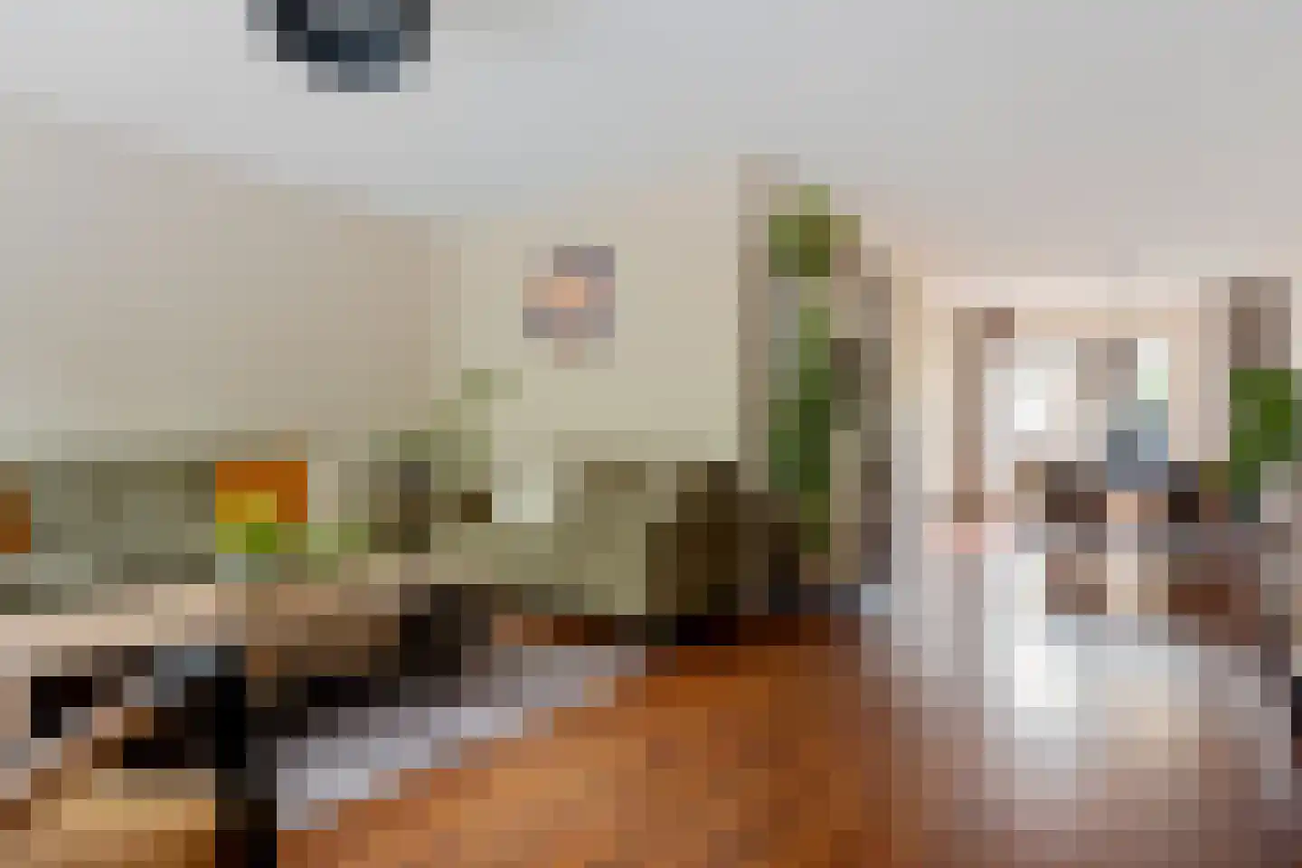 Valkruid 70 Nieuw-Buinen thumbnail 9