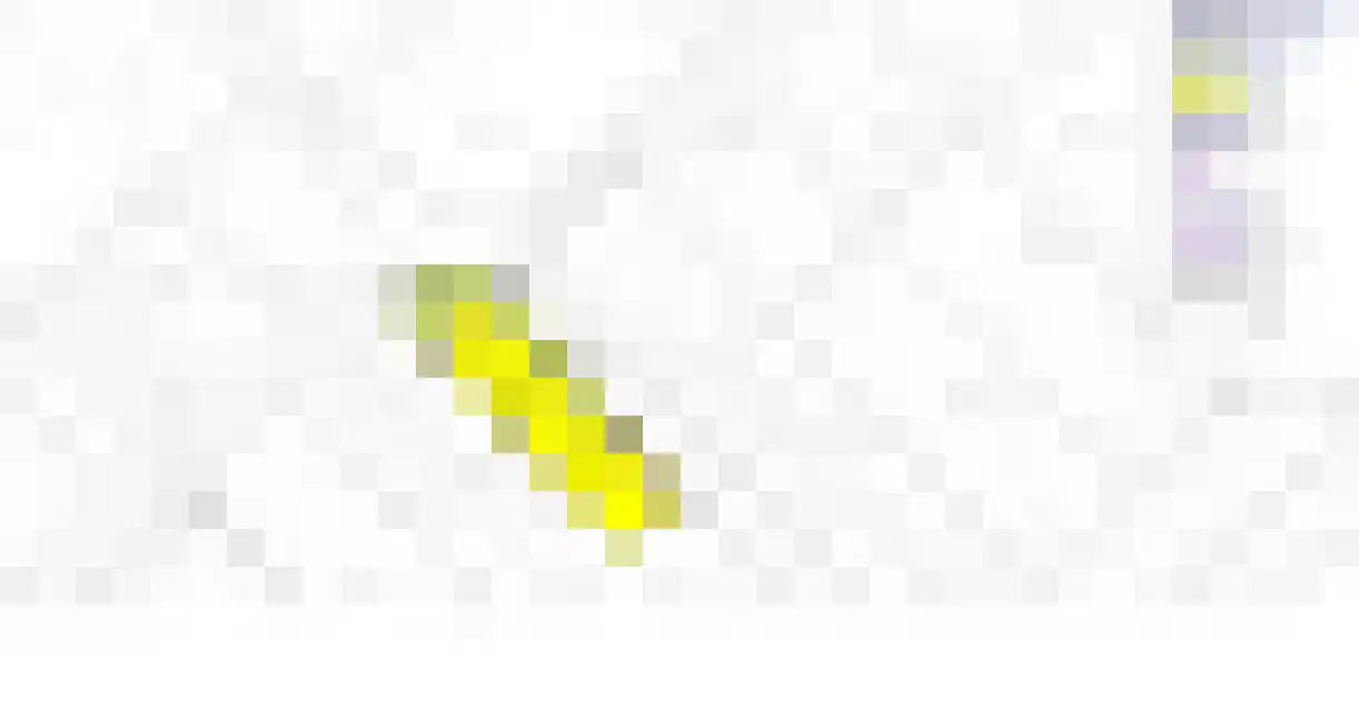 Valkruid 9 Klazienaveen thumbnail 10