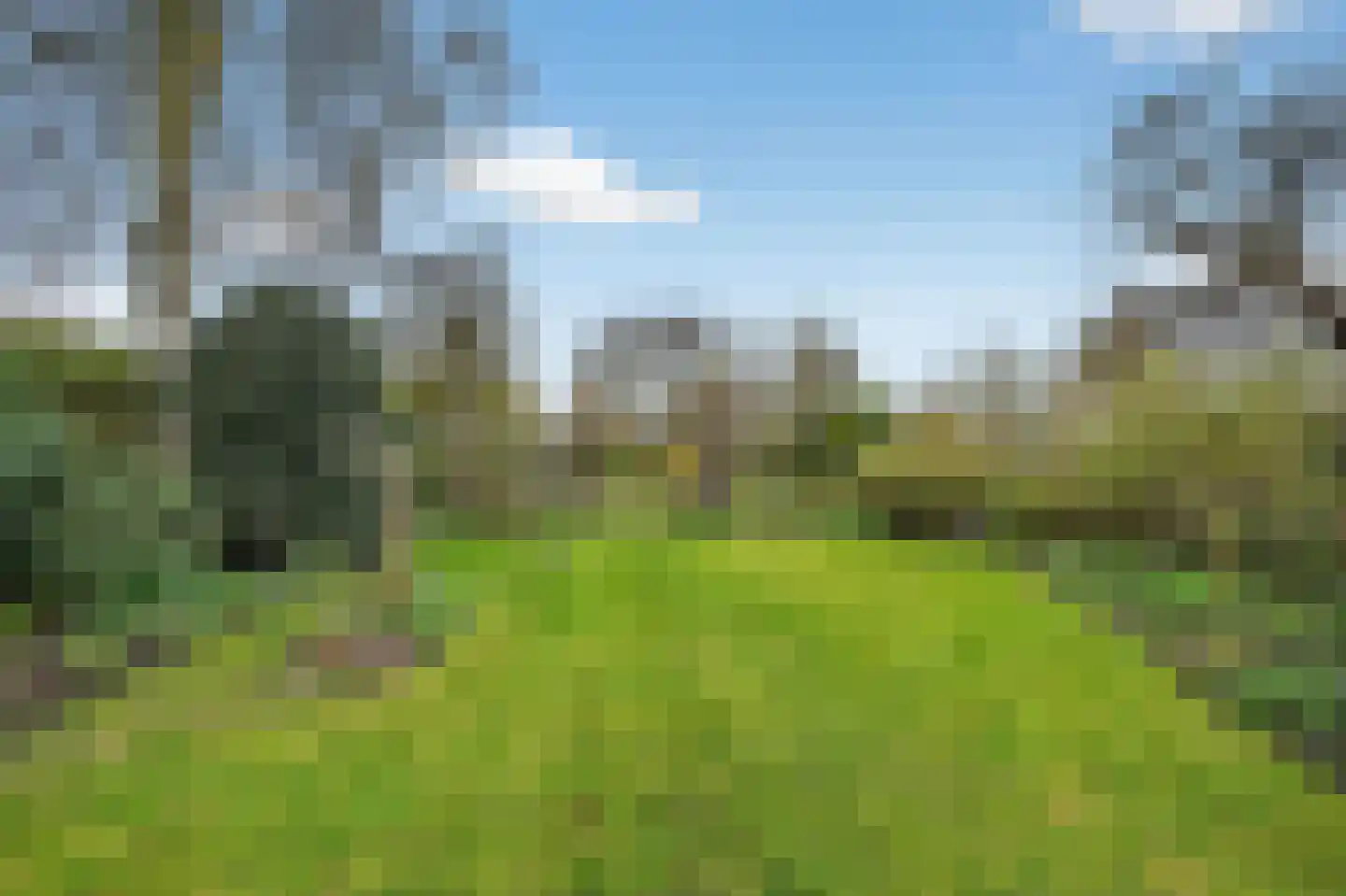 Valkruid 9 Klazienaveen thumbnail 5