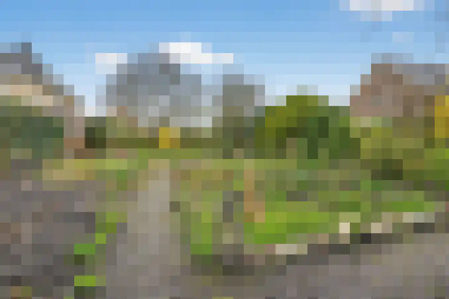 Valkruid 9 Klazienaveen thumbnail 6