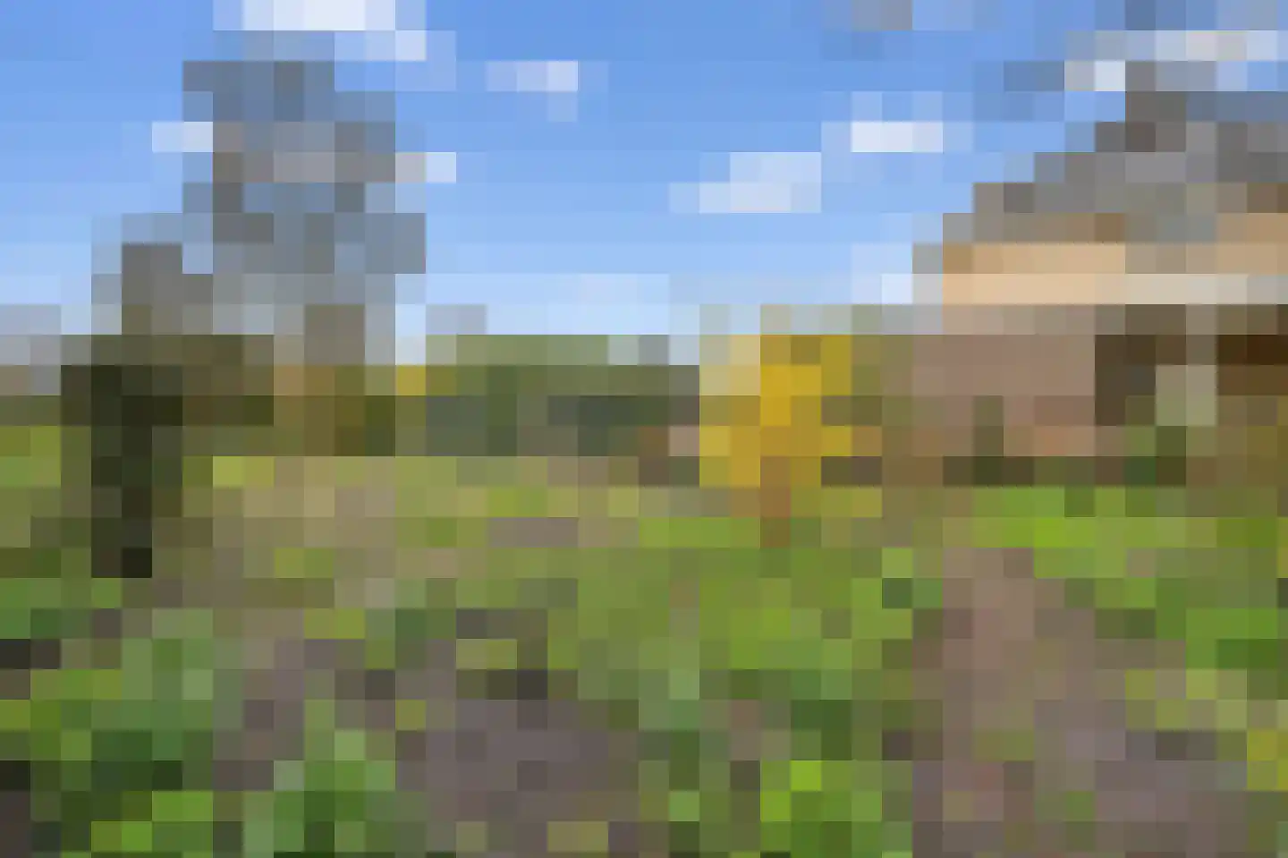 Valkruid 9 Klazienaveen thumbnail 7