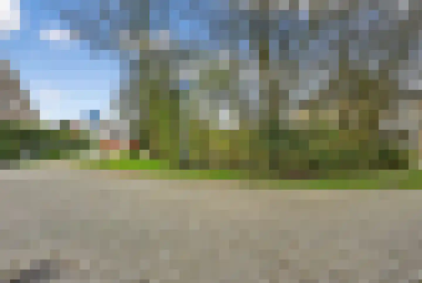 Valkruid 9 Klazienaveen thumbnail 8