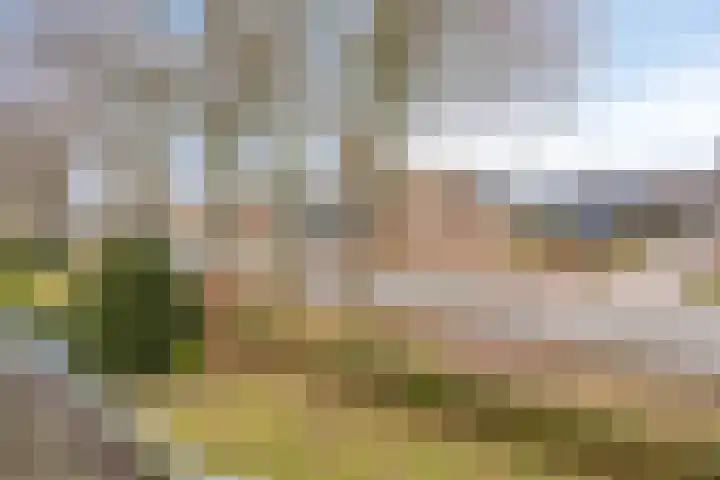 Valkseweg 102 Barneveld thumbnail 20
