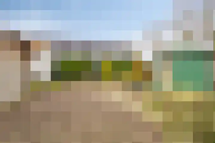 Valkseweg 102 Barneveld thumbnail 26