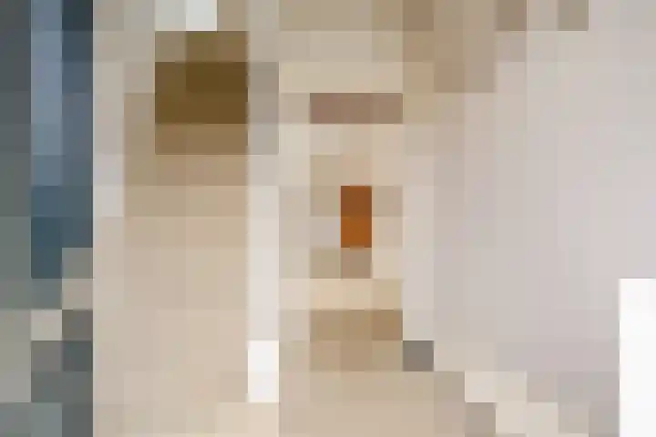 Valkseweg 102 Barneveld thumbnail 4