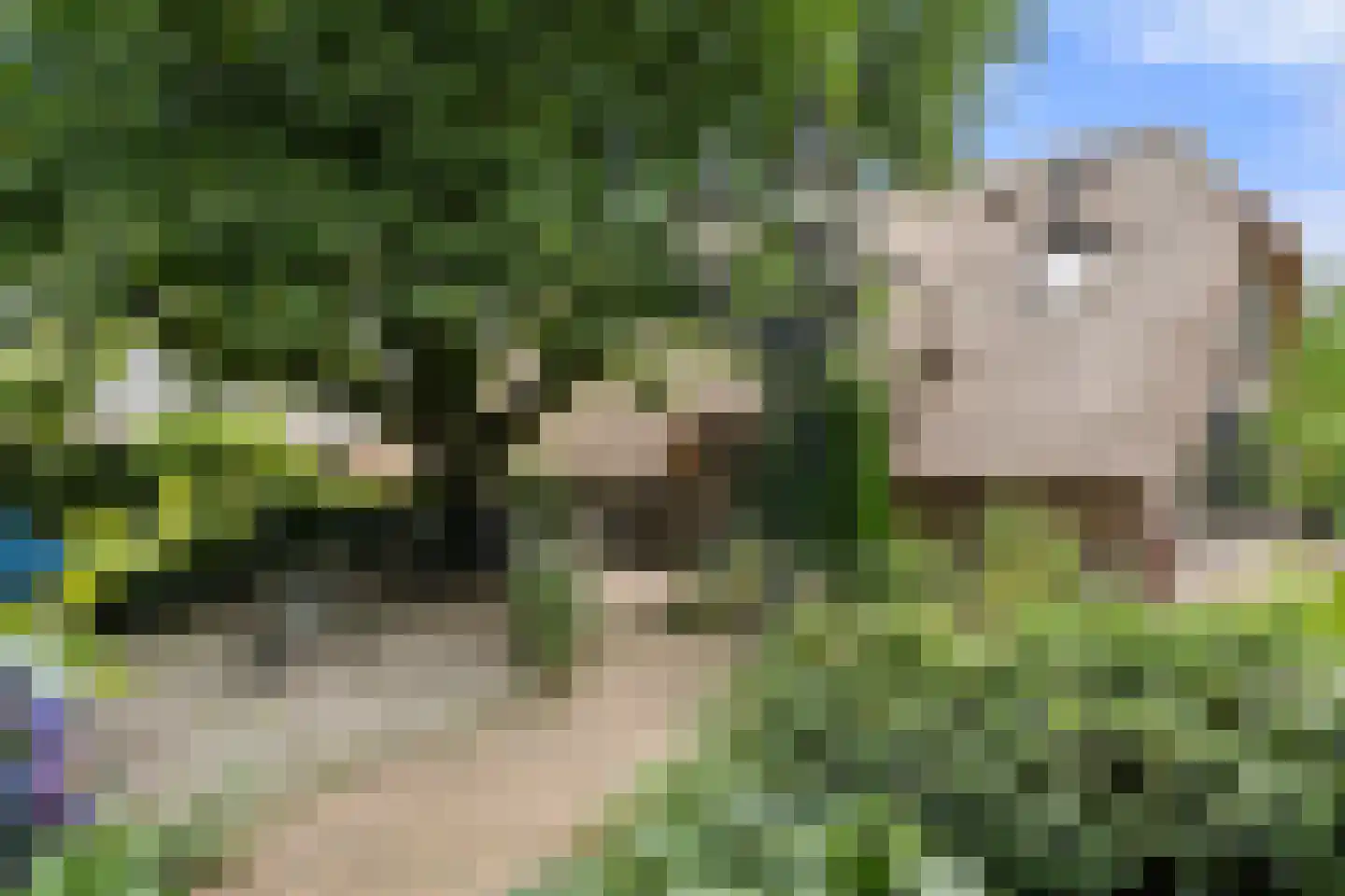 Valkseweg 196 Barneveld thumbnail 10