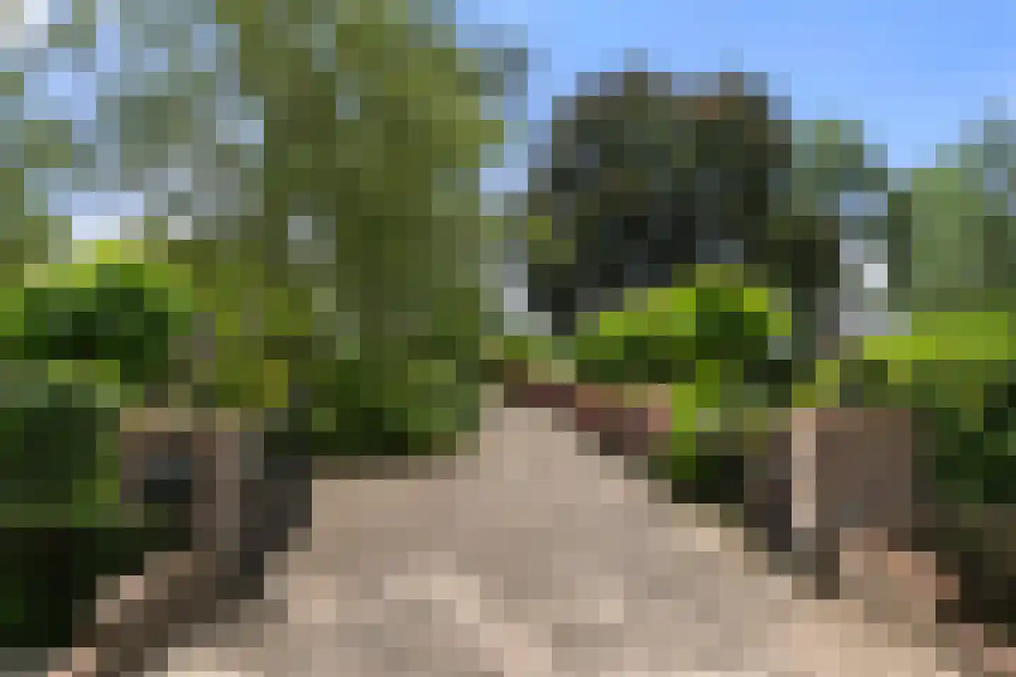 Valkseweg 196 Barneveld thumbnail 4