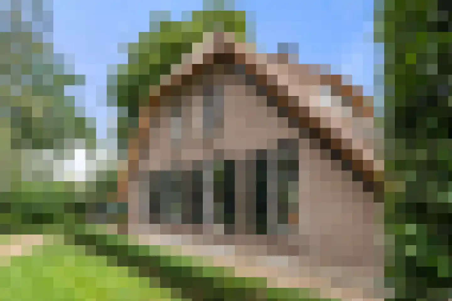 Valkseweg 196 Barneveld thumbnail 45