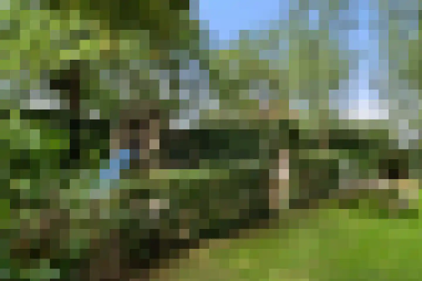 Valkseweg 196 Barneveld thumbnail 49