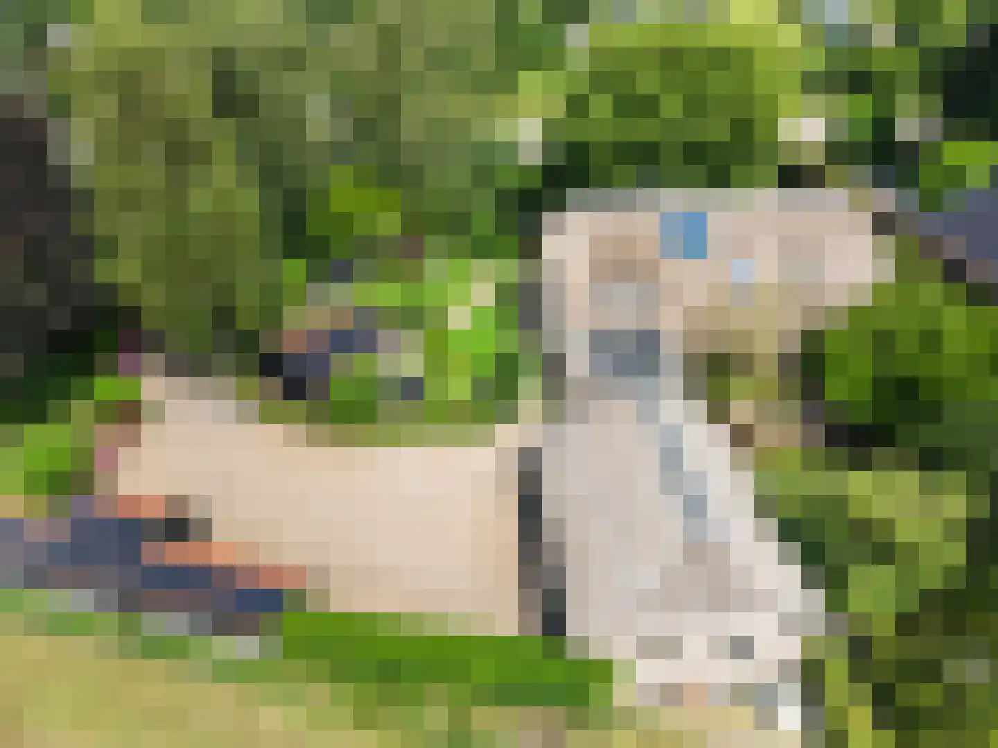 Valkseweg 196 Barneveld thumbnail 61