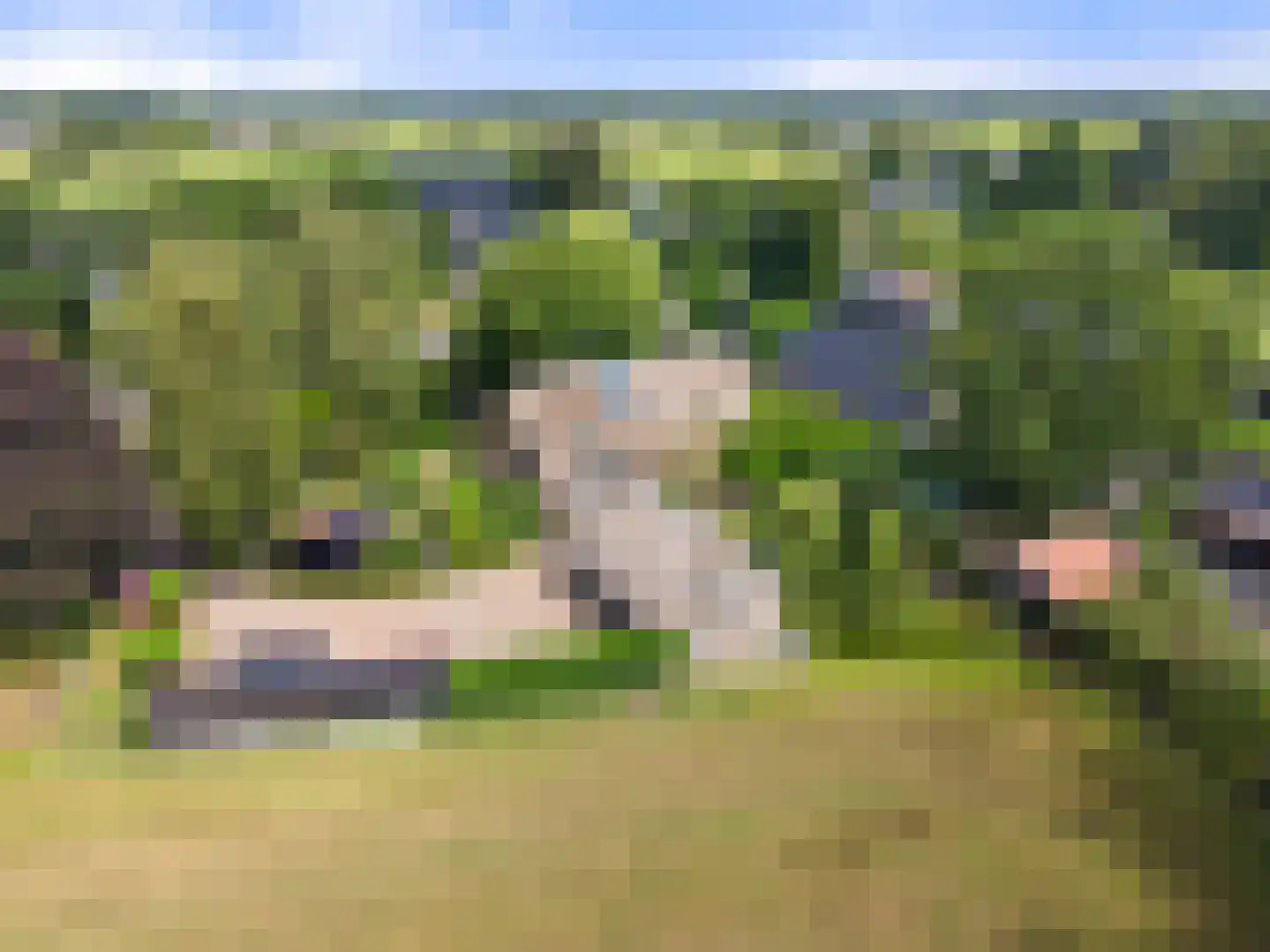 Valkseweg 196 Barneveld thumbnail 62