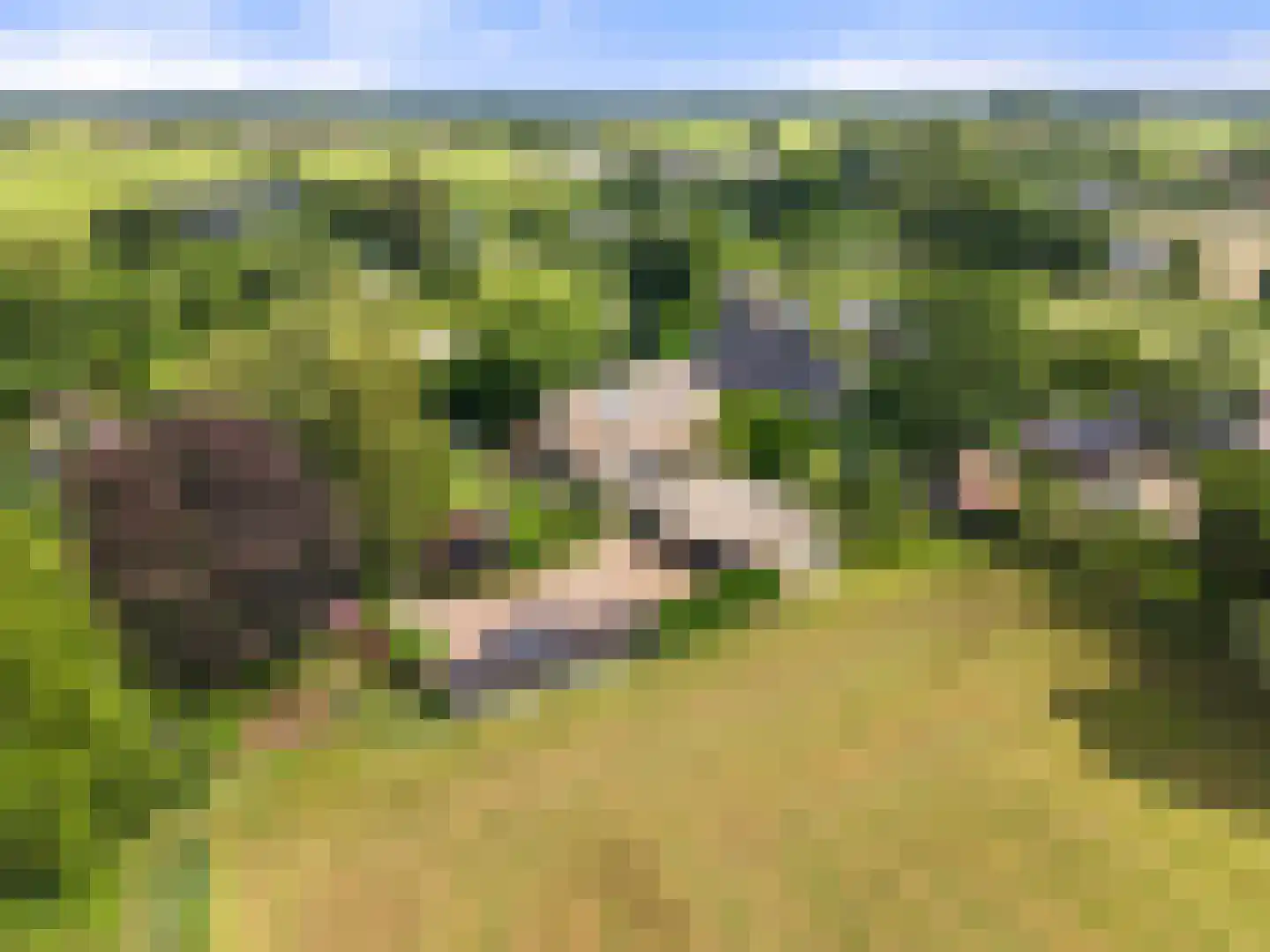 Valkseweg 196 Barneveld thumbnail 71