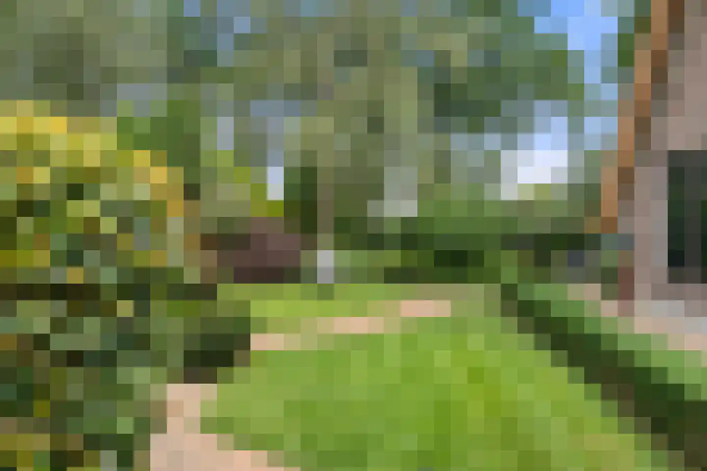 Valkseweg 196 Barneveld thumbnail 9