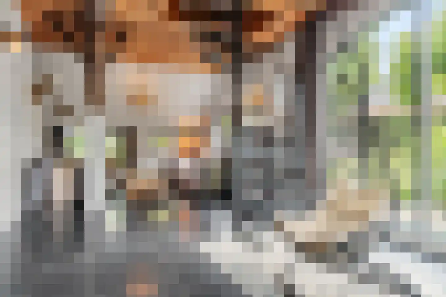Valkseweg 198 Barneveld thumbnail 29