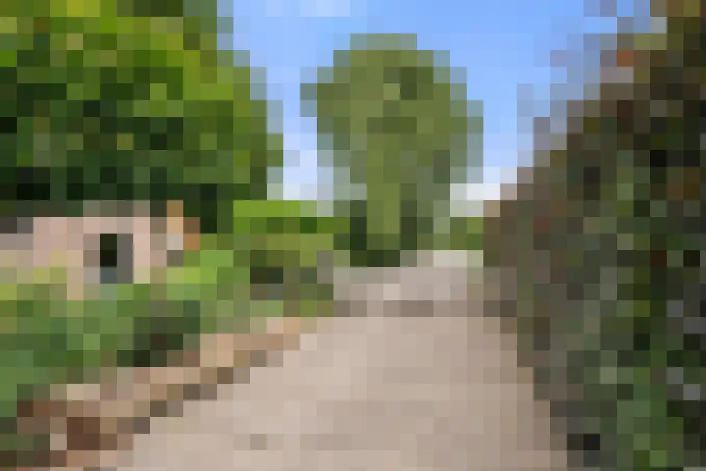 Valkseweg 198 Barneveld thumbnail 4