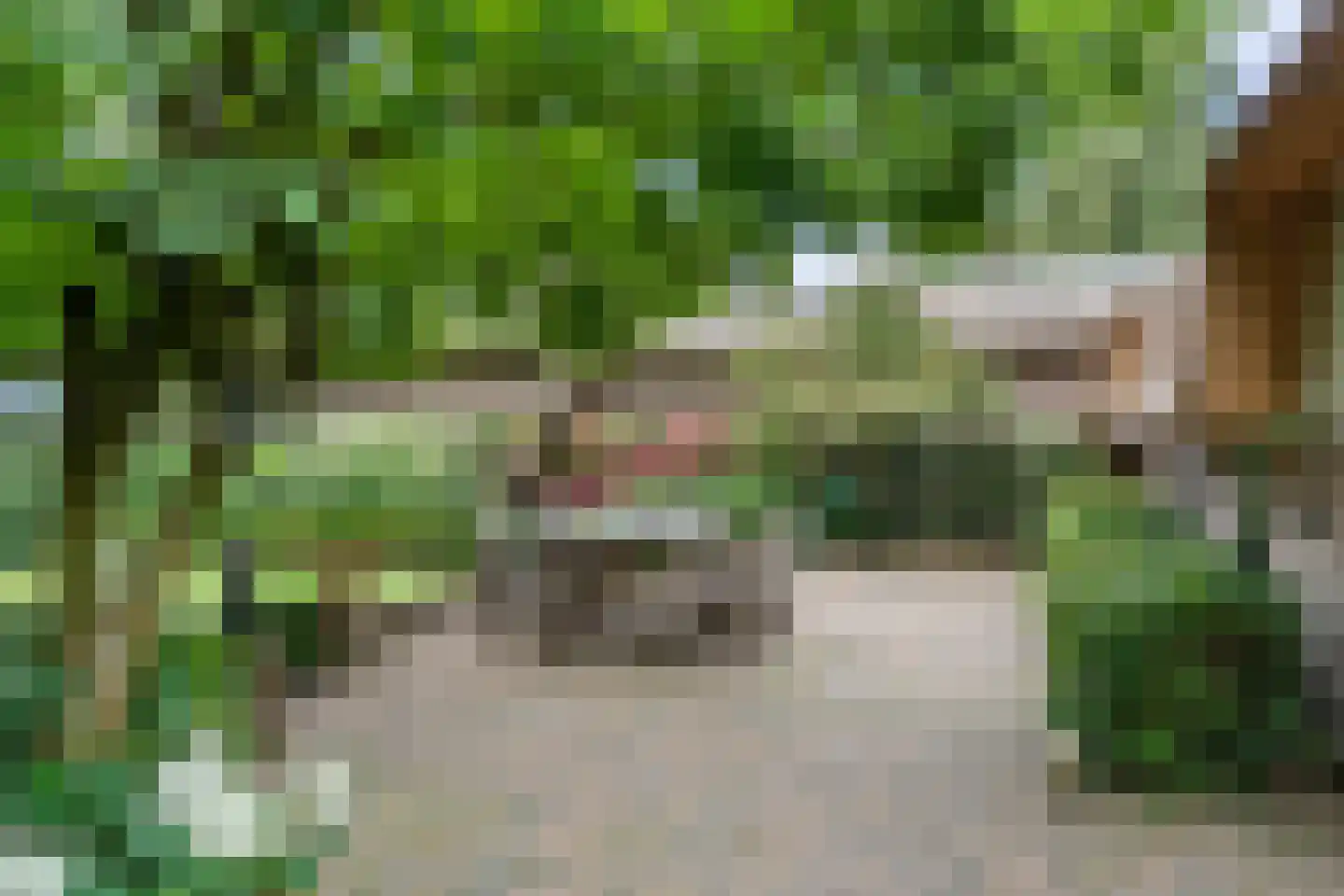 Valkseweg 198 Barneveld thumbnail 45