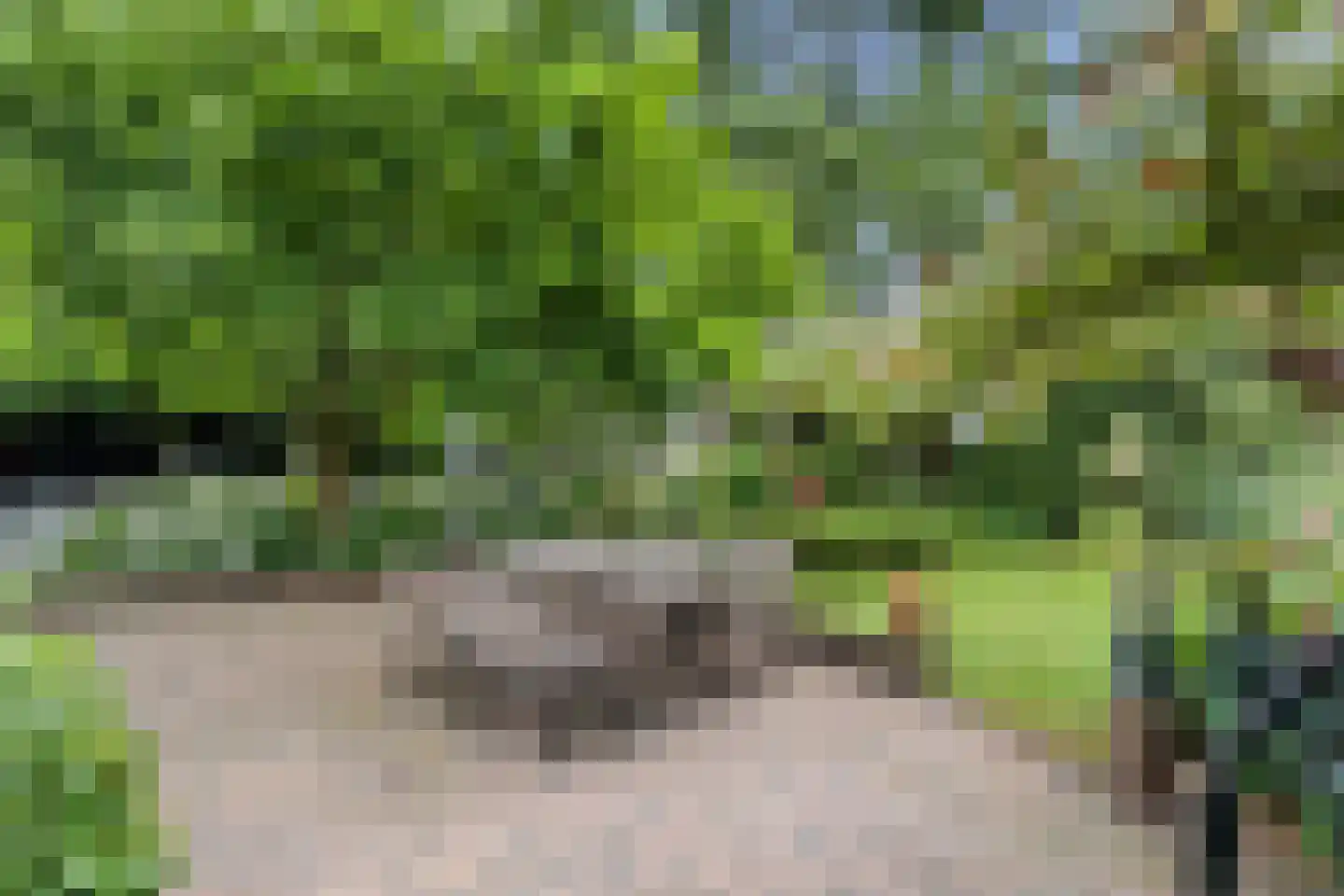 Valkseweg 198 Barneveld thumbnail 46