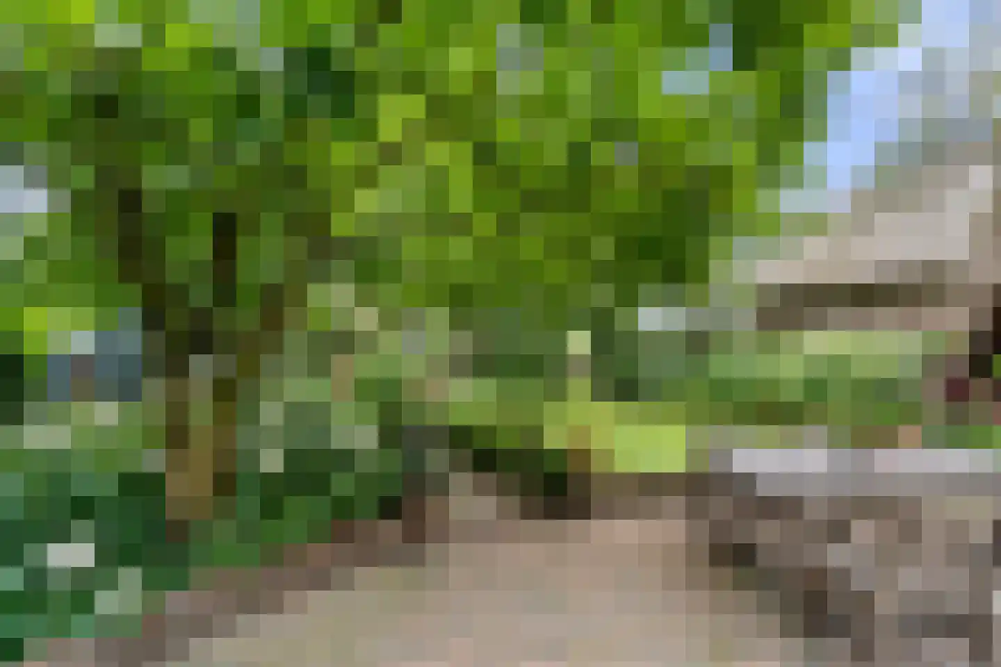 Valkseweg 198 Barneveld thumbnail 47