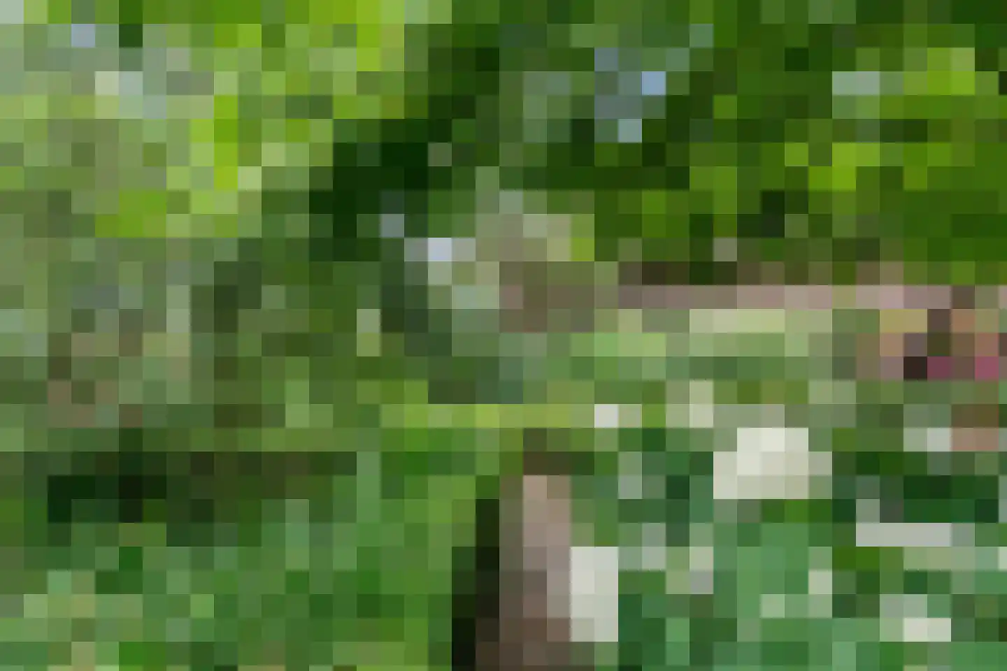 Valkseweg 198 Barneveld thumbnail 48