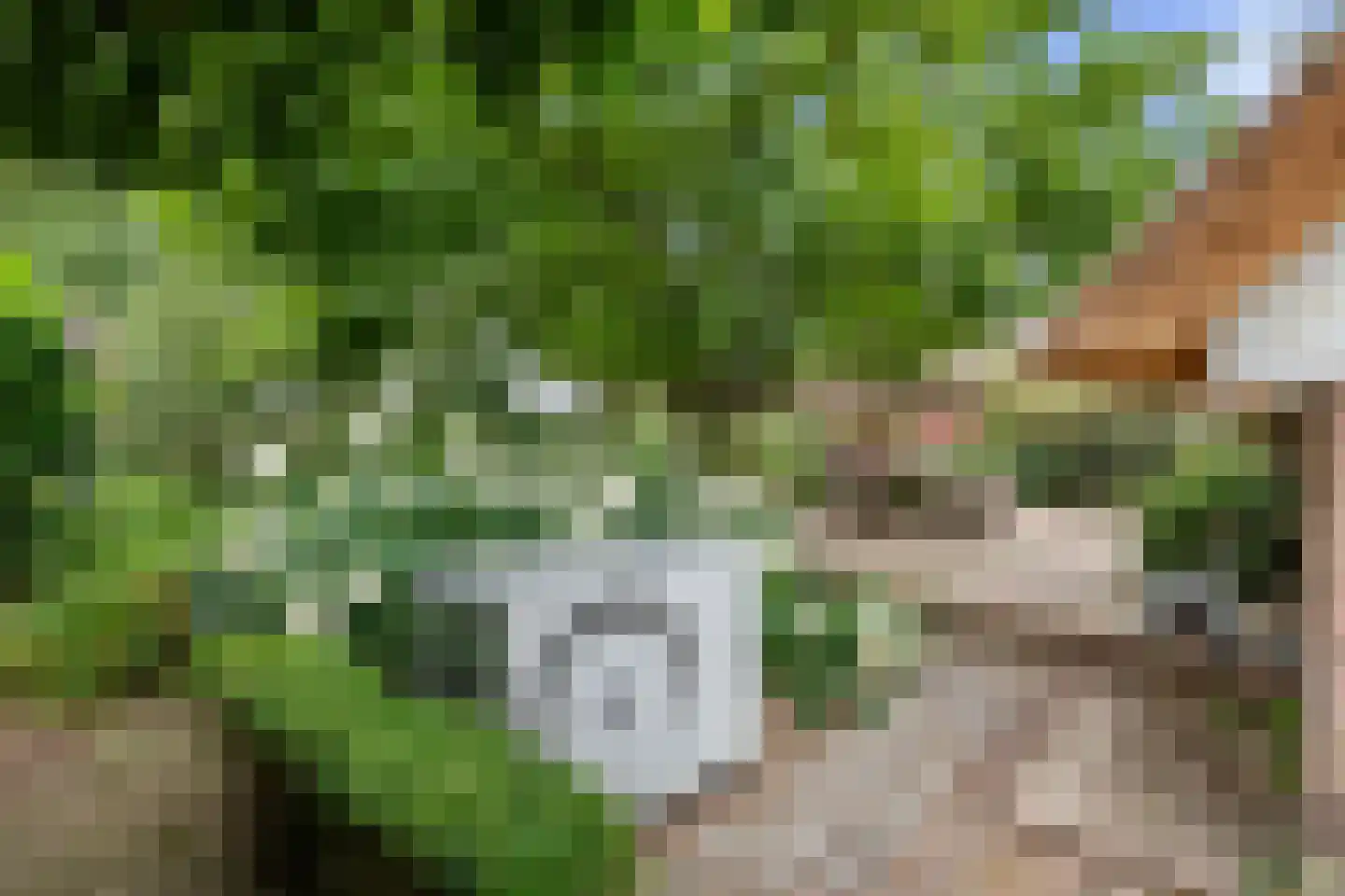 Valkseweg 198 Barneveld thumbnail 49