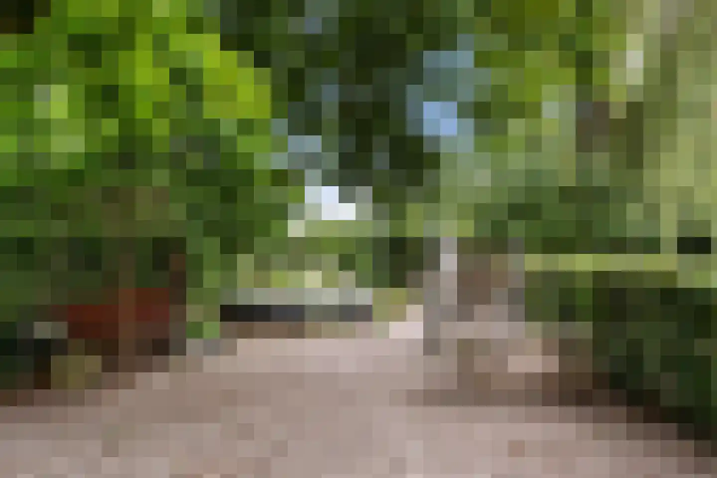 Valkseweg 198 Barneveld thumbnail 55