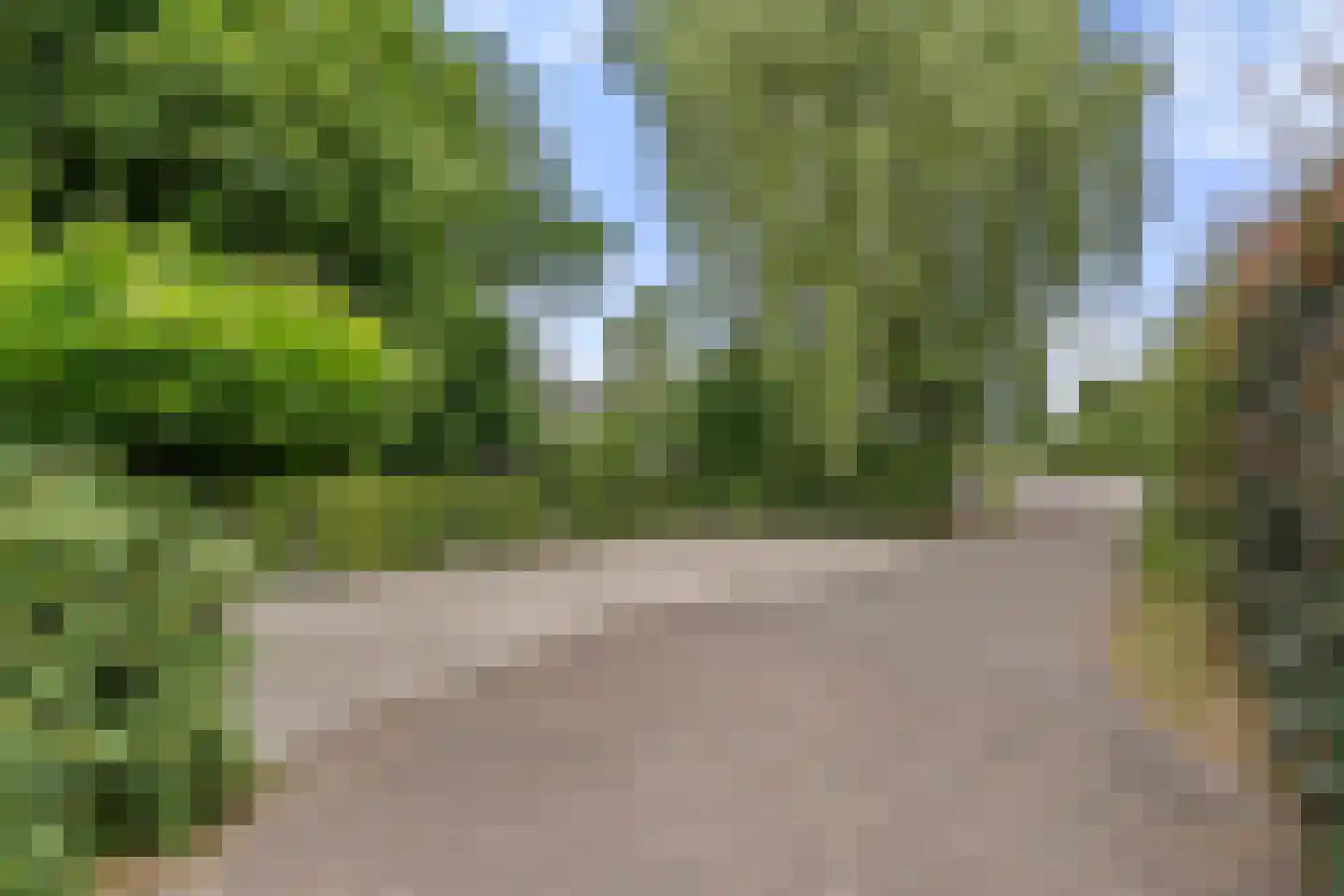 Valkseweg 198 Barneveld thumbnail 56