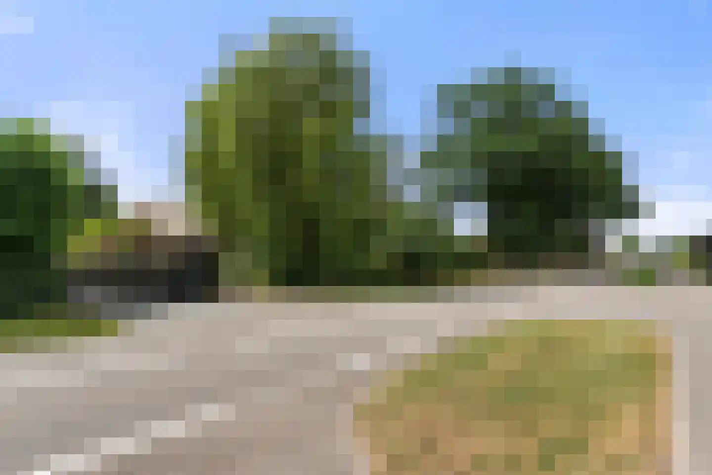 Valkseweg 198 Barneveld thumbnail 58