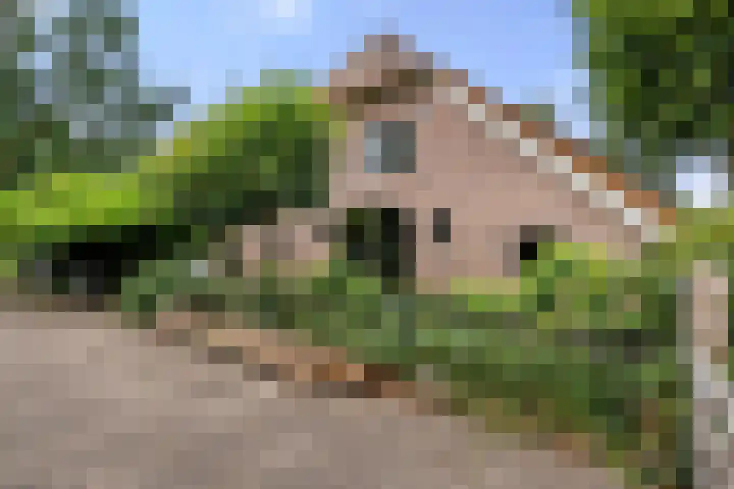 Valkseweg 198 Barneveld thumbnail 6