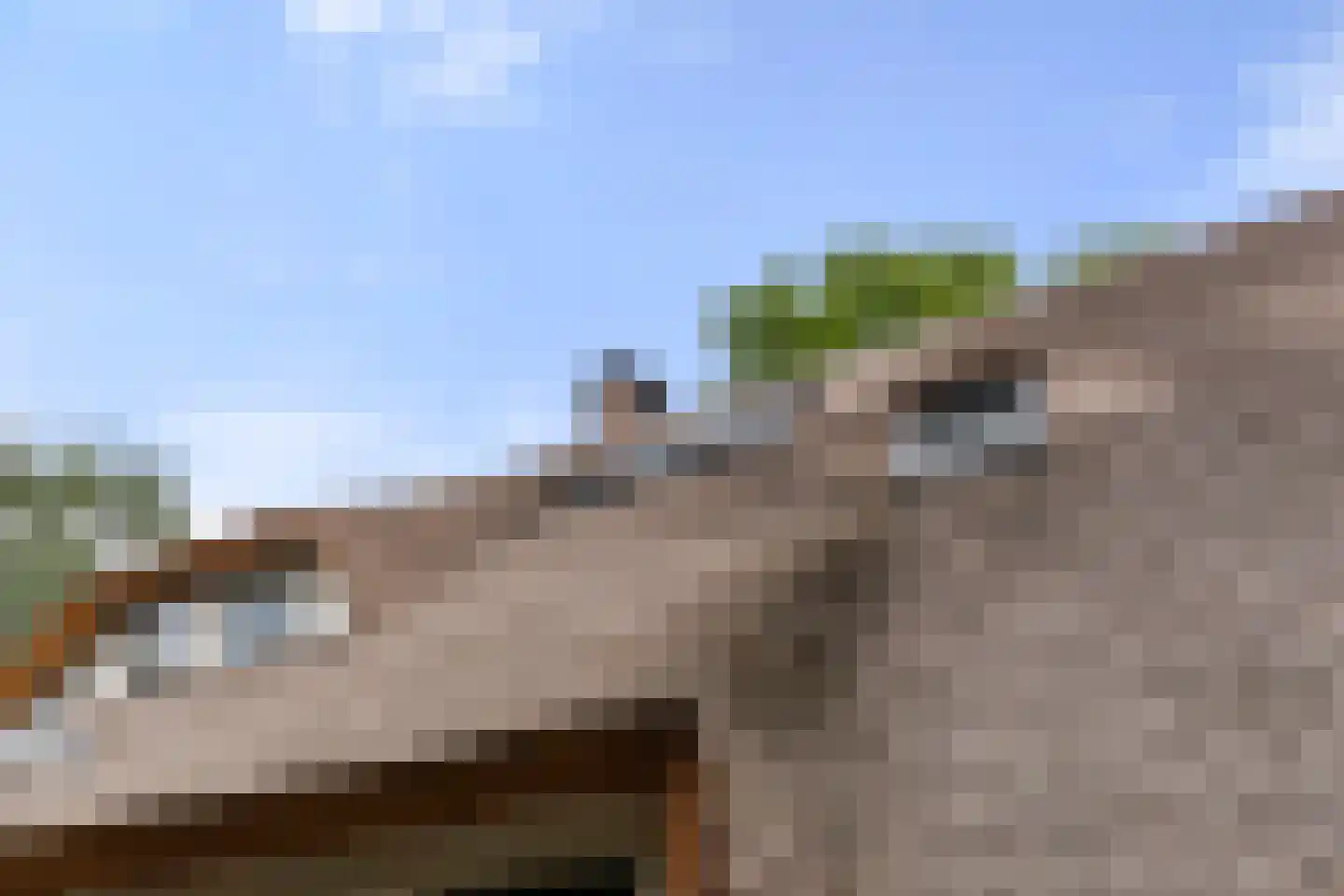 Valkseweg 198 Barneveld thumbnail 8
