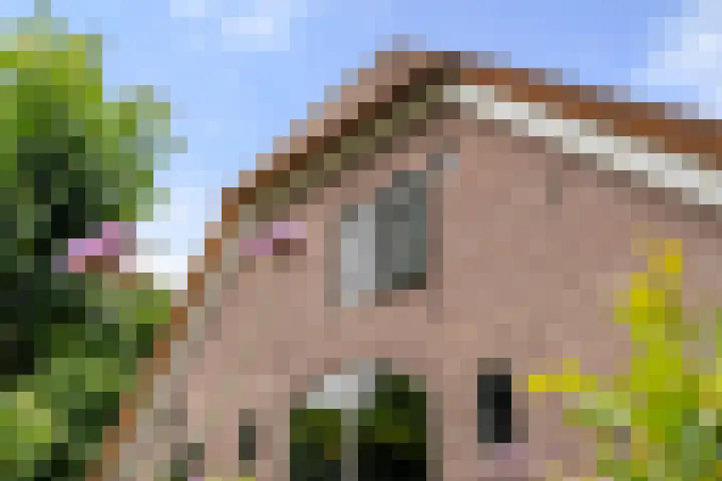 Valkseweg 198 Barneveld thumbnail 9