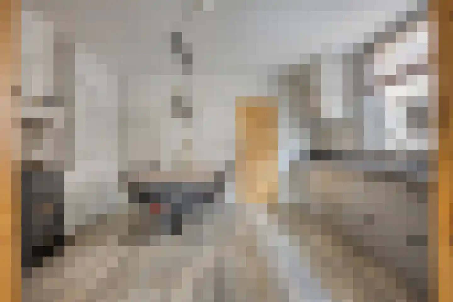 Valkseweg 49 Barneveld thumbnail 10