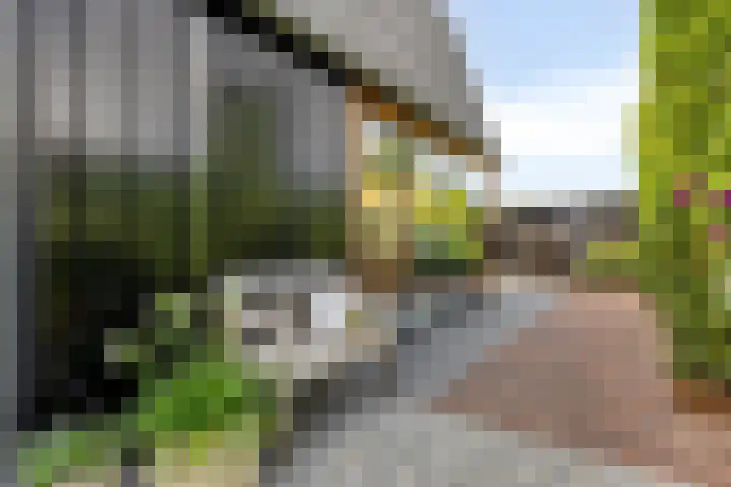 Valkseweg 49 Barneveld thumbnail 47