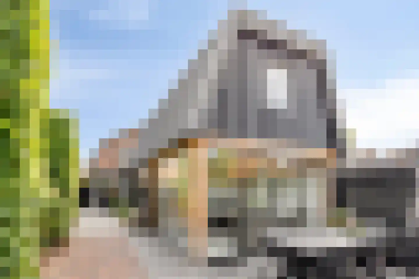 Valkseweg 49 Barneveld thumbnail 49