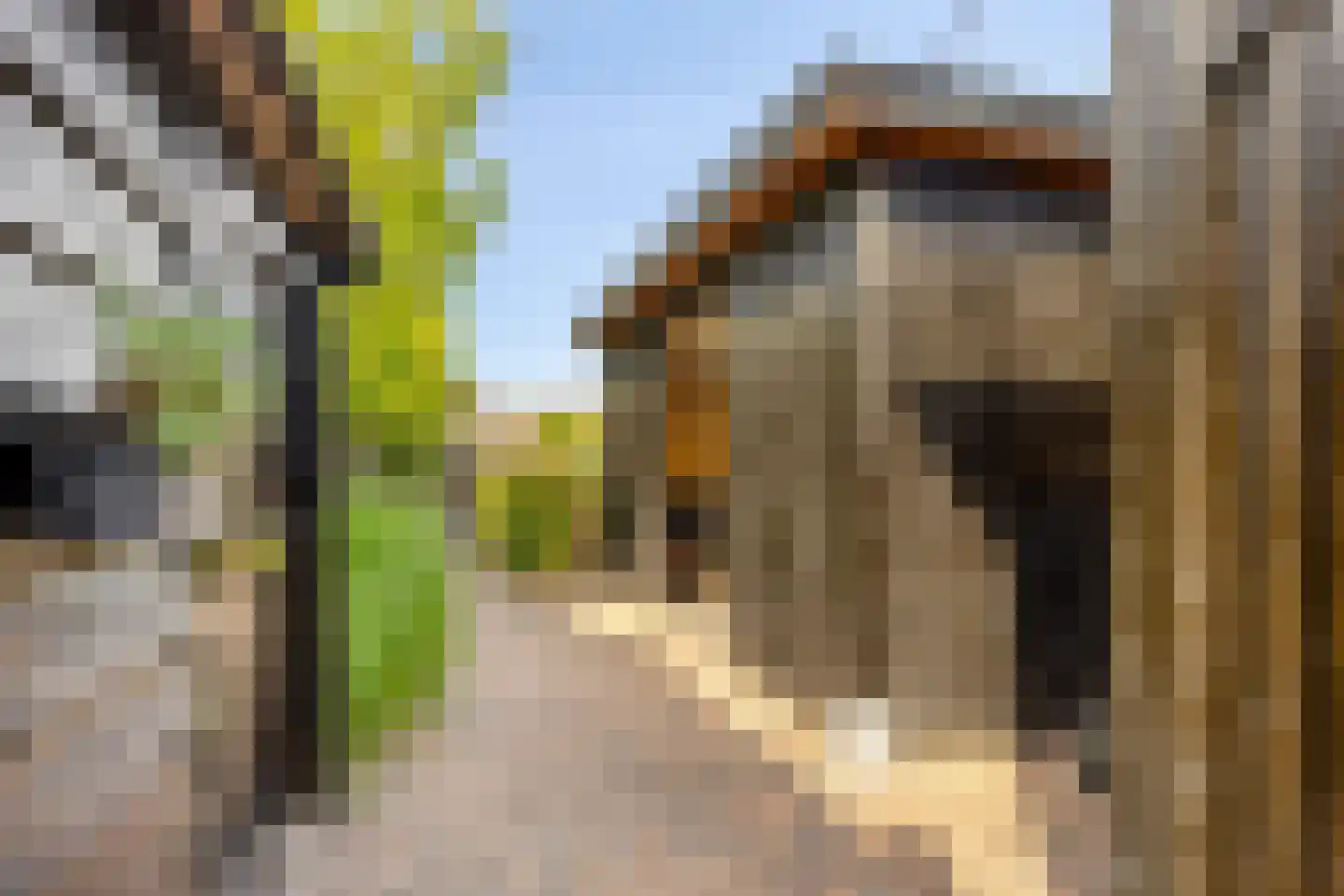 Valkseweg 49 Barneveld thumbnail 50