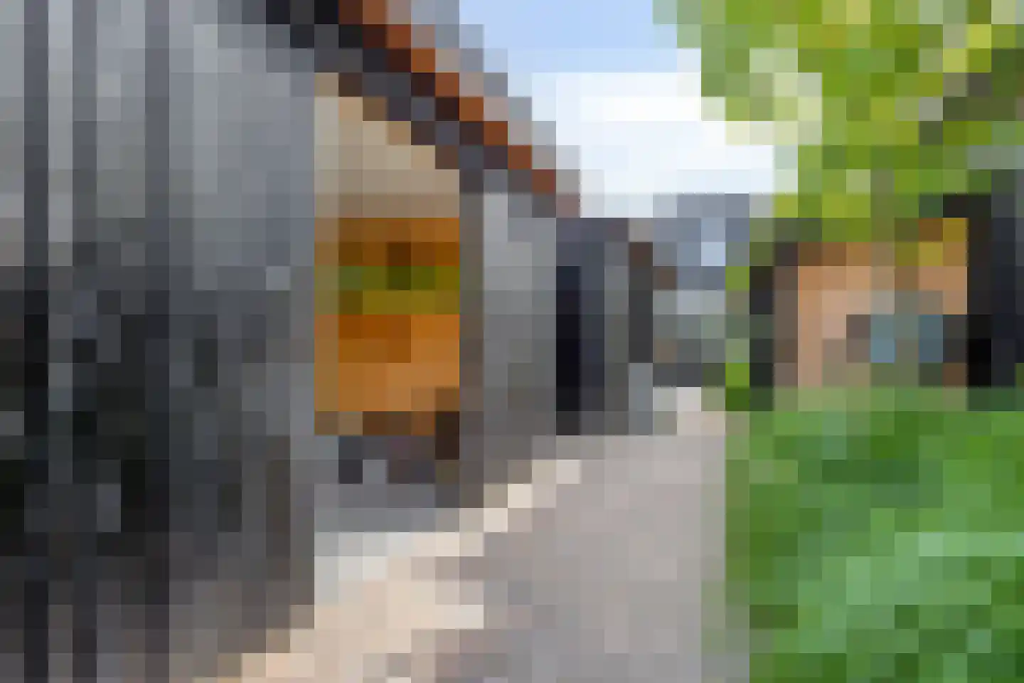Valkseweg 49 Barneveld thumbnail 52