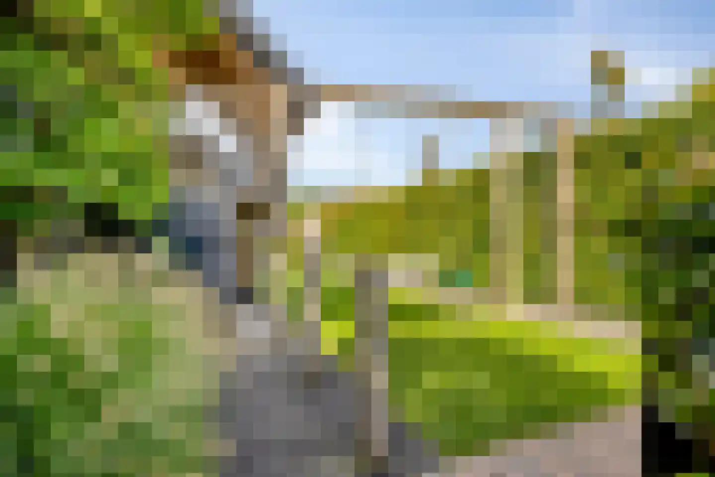 Valkseweg 49 Barneveld thumbnail 53