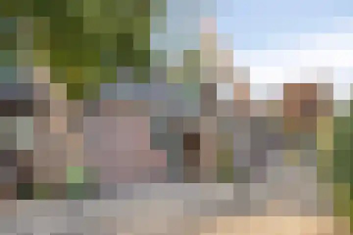 Valkseweg 74 01 Barneveld thumbnail 26