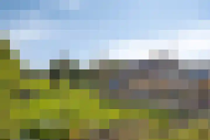 Valkseweg 74 01 Barneveld thumbnail 30
