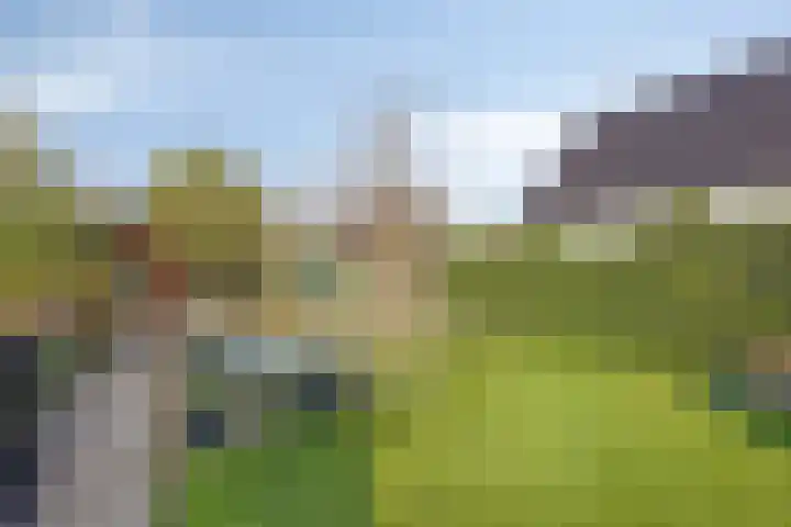Valkseweg 74 01 Barneveld thumbnail 31