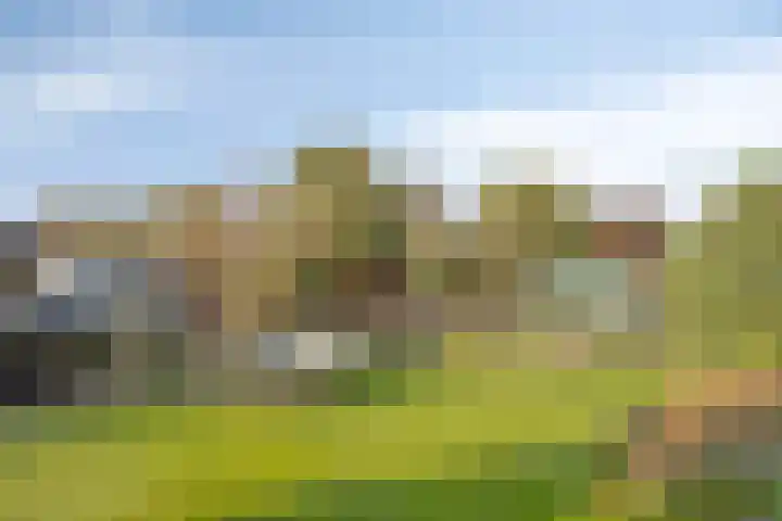 Valkseweg 74 01 Barneveld thumbnail 32