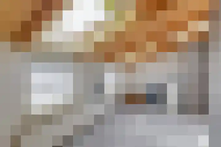 Valkstraat 10 Overasselt thumbnail 31