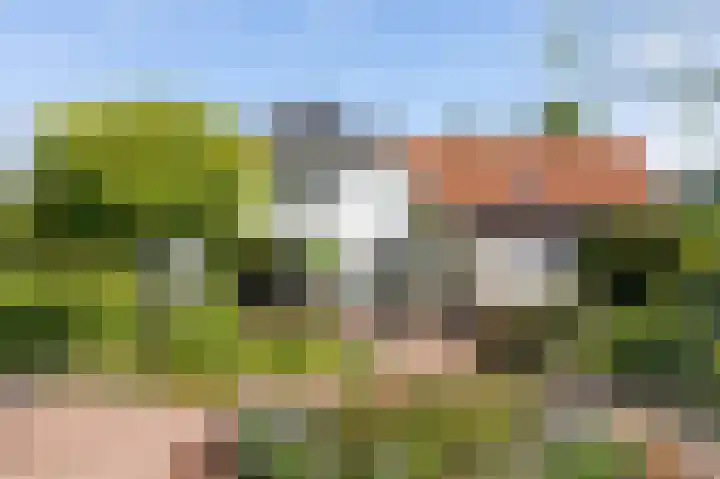 Valkstraat 10 Overasselt thumbnail 57