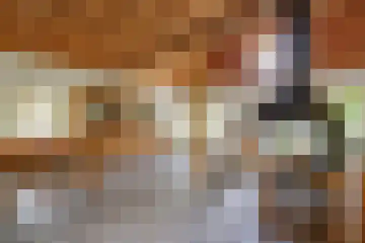 Valkstraat 10 Overasselt thumbnail 6