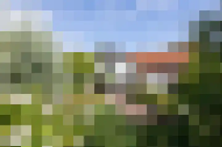 Valkstraat 10 Overasselt thumbnail 66