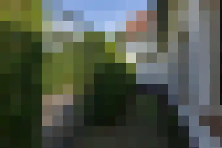 Valkstraat 10 Overasselt thumbnail 69