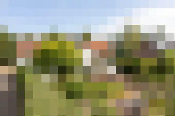 Valkstraat 10 Overasselt thumbnail 77