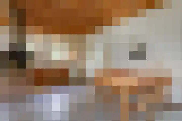 Valkstraat 10 Overasselt thumbnail 8